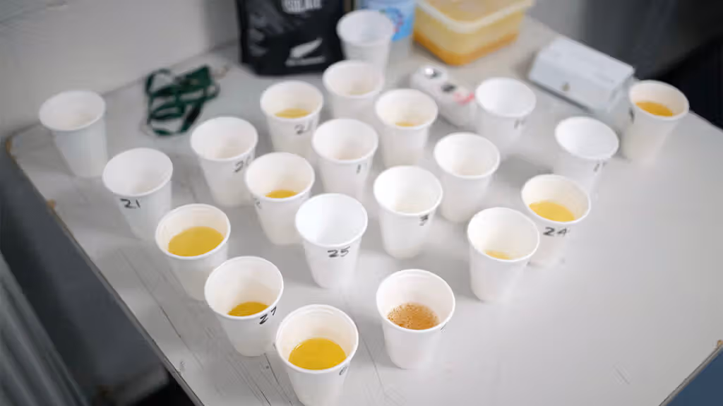 A detailed infographic explaining the 10-panel drug test, including substances tested, urine drug screening process, detection windows, and workplace drug testing procedure.